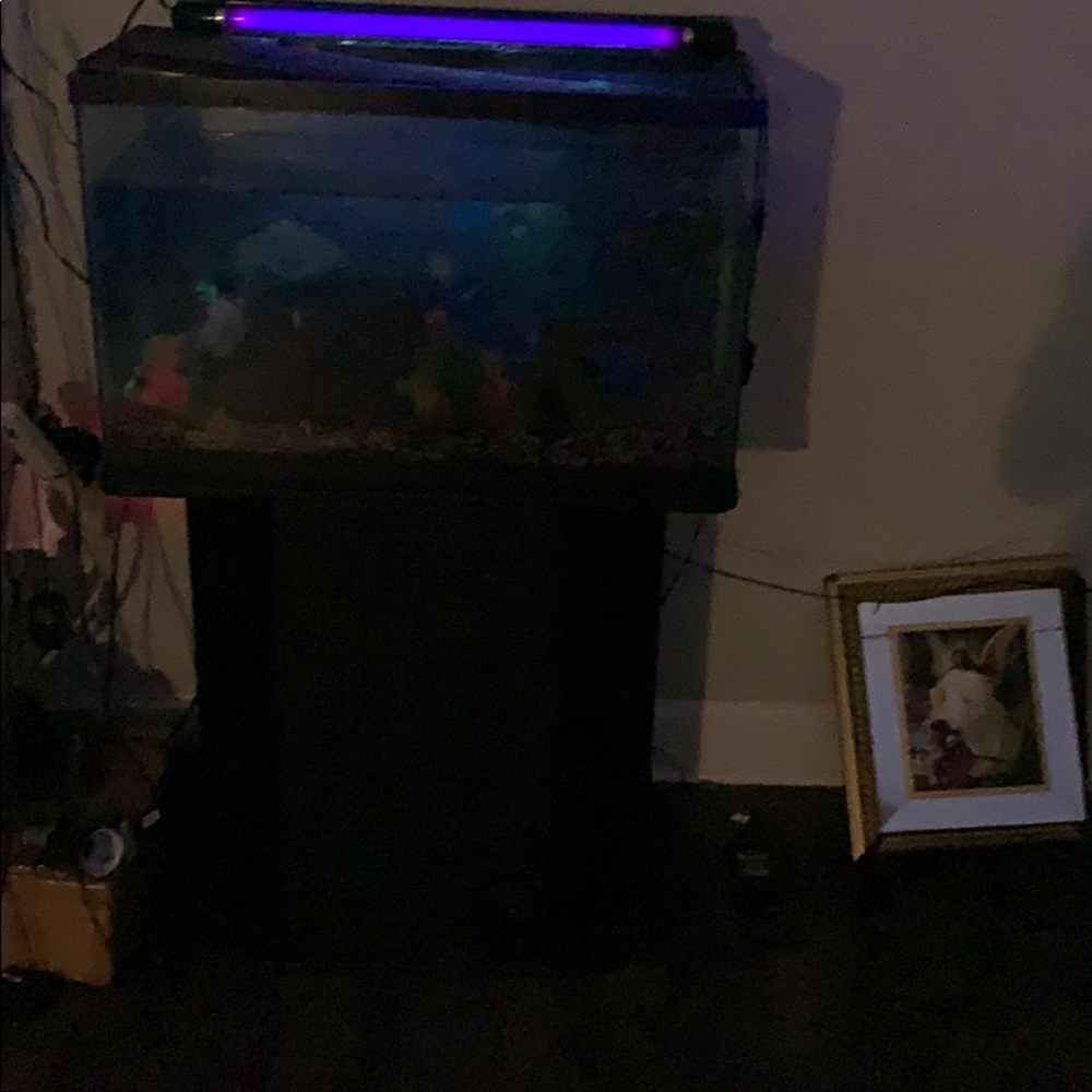 I am selling a tank and the stand with it